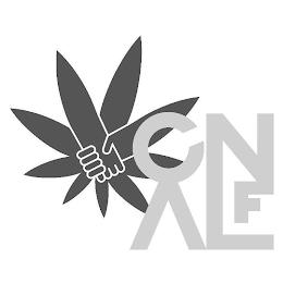 C A N L F logo