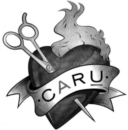 C A R U logo