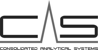 C A S CONSOLIDATED ANALYTICAL SYSTEMS logo
