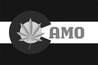 C AMO logo
