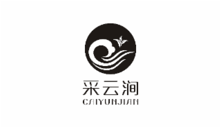 C CAIYUNJIAN logo