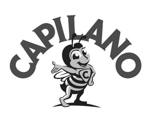 C CAPILANO logo
