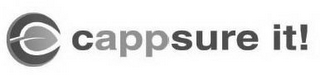 C CAPPSURE IT! logo