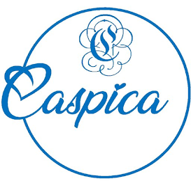C CASPICA logo