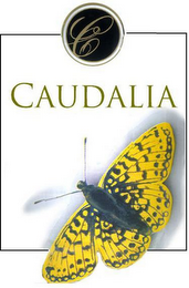 C CAUDALIA logo