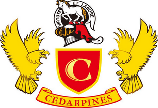 C CEDARPINES logo