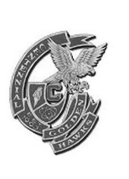 C CENTENNIAL EST. 1993 GOLDEN HAWKS logo