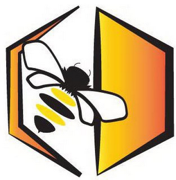 C D logo