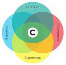 C EXPOSURE ENVIRONMENT EXPERIENCE EXPERTISE logo