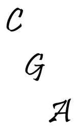 C G A logo