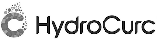 C HYDROCURC logo