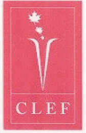 C L E F logo