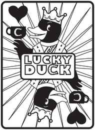 C LUCKY DUCK logo