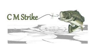 C M STRIKE logo