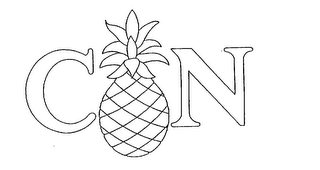 C N logo