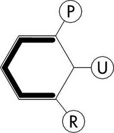 C P U R logo