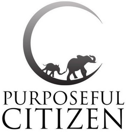 C PURPOSEFUL CITIZEN logo