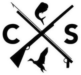 C S logo