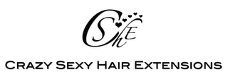 C S H E CRAZY SEXY HAIR EXTENSIONS logo