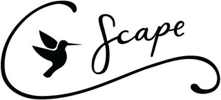 C SCAPE logo