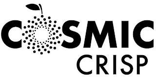 C SMIC CRISP logo