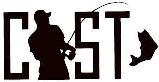 C ST logo
