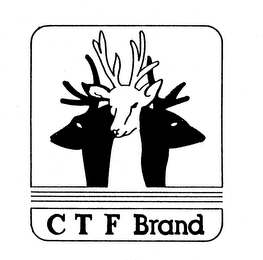 C T F BRAND logo