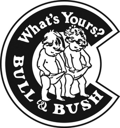 C WHAT'S YOURS? BULL & BUSH logo