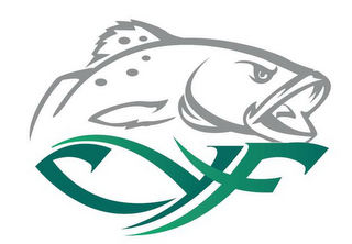 C Y F logo