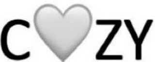 C ZY logo