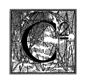 C2 logo