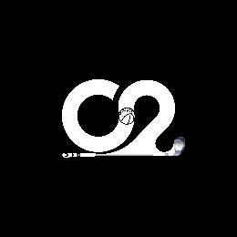 C2 logo