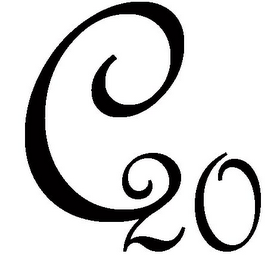 C20 logo