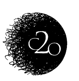 C2O logo