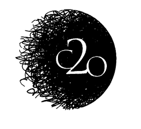C2O logo