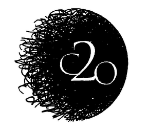 C2O logo