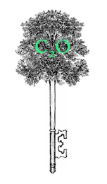 C2O logo
