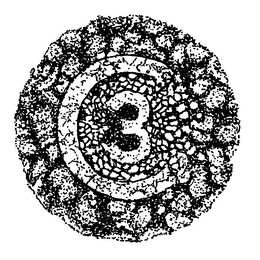 C3 logo