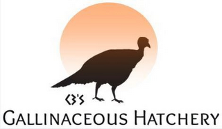 C3'S GALLINACEOUS HATCHERY logo
