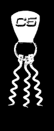 C5 logo