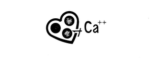 CA++ logo