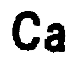 CA logo