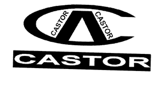 CA CASTOR logo