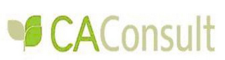 CA CONSULT logo
