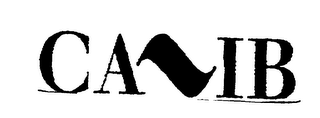 CA IB logo