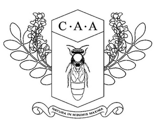 C·A·A NATURA IN MINIMIS MAXIMA logo