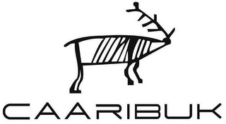 CAARIBUK logo