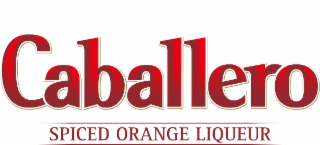 CABALLERO SPICED ORANGE LIQUEUR logo