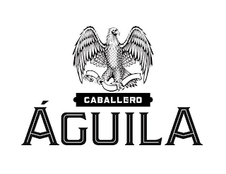CABALLERO ÁGUILA logo