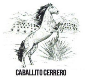 CABALLITO CERRERO logo